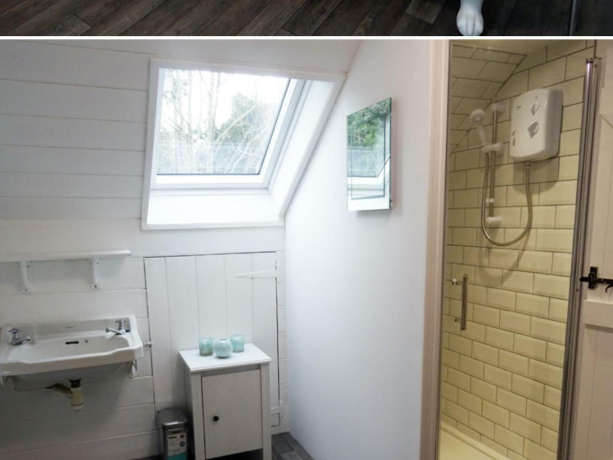 Beechwood House Bed & Breakfast New Quay  Eksteriør bilde